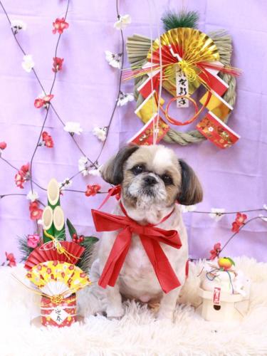 20230118ココロくん